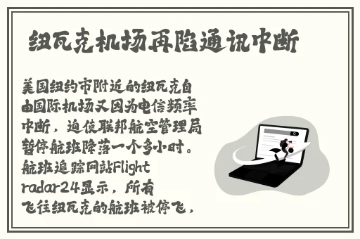苍井空种子